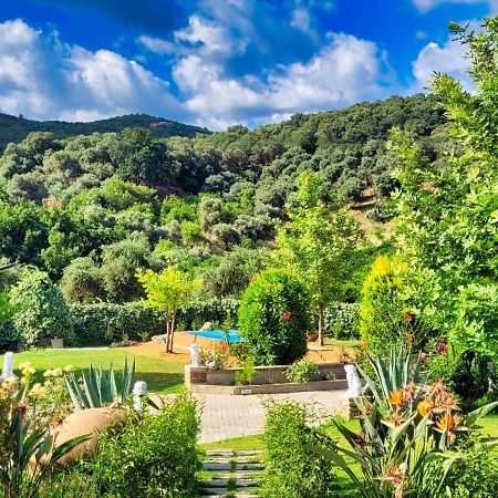 Villa Kalaitsidi - Plunge Pool, Gym And Unique Gardens Skinés المظهر الخارجي الصورة