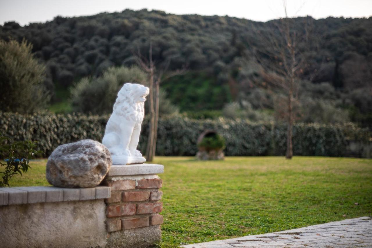 Villa Kalaitsidi - Plunge Pool, Gym And Unique Gardens Skinés المظهر الخارجي الصورة