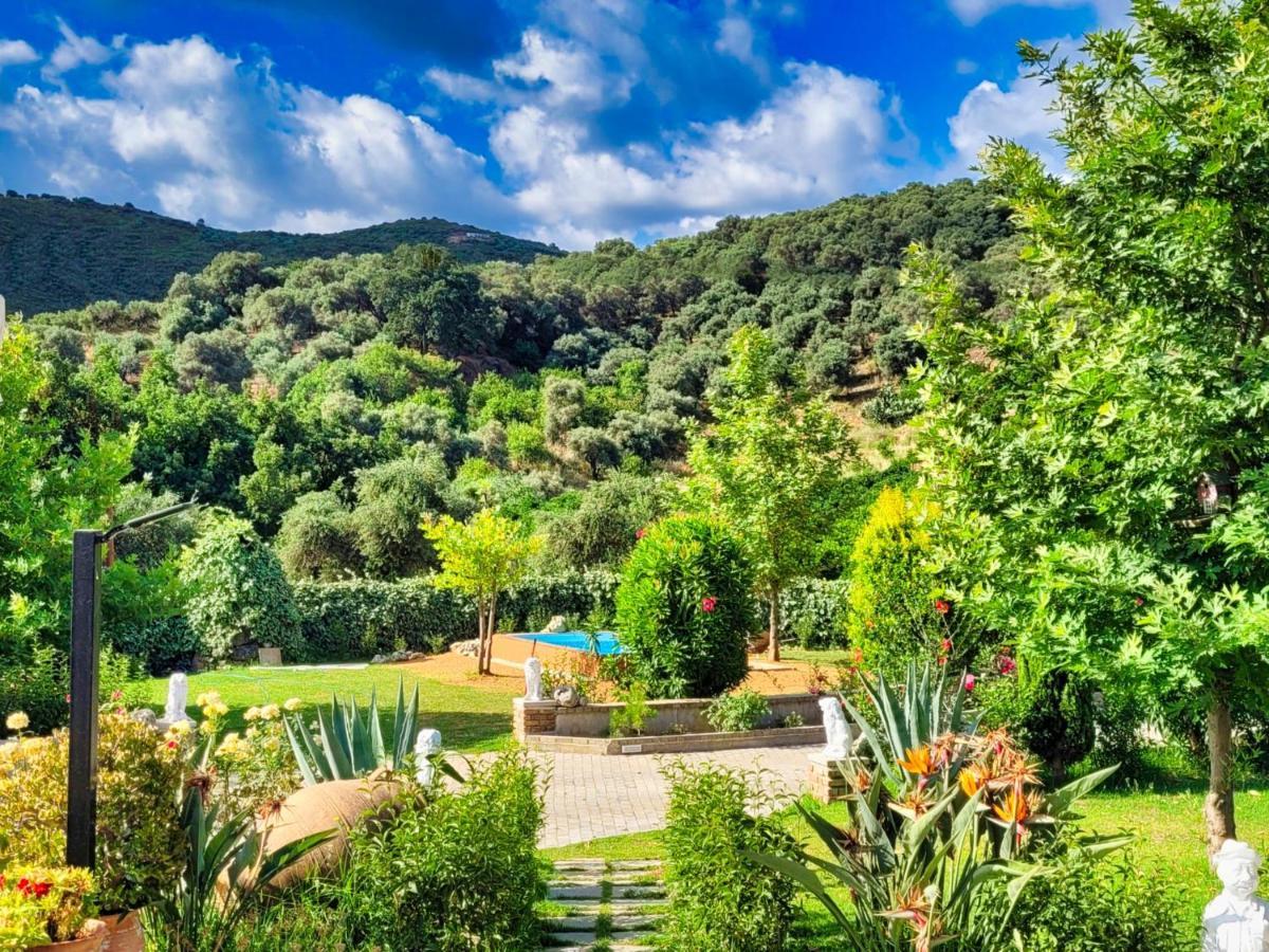Villa Kalaitsidi - Plunge Pool, Gym And Unique Gardens Skinés المظهر الخارجي الصورة